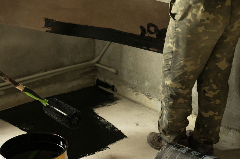 Basement Drying System